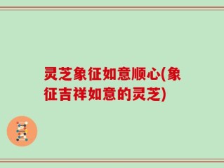灵芝象征如意顺心(象征吉祥如意的灵芝)