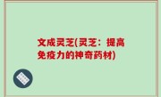 文成灵芝(灵芝：提高免疫力的神奇药材)
