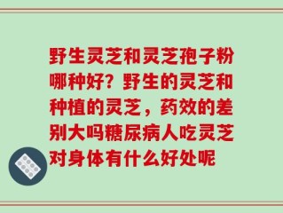 野生灵芝和灵芝孢子粉哪种好？野生的灵芝和种植的灵芝，药效的差别大吗糖尿病人吃灵芝对身体有什么好处呢
