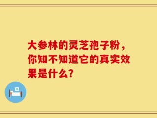 大参林的灵芝孢子粉，你知不知道它的真实效果是什么？