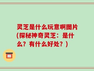 灵芝是什么玩意啊图片(探秘神奇灵芝：是什么？有什么好处？)
