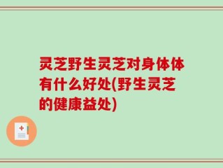 灵芝野生灵芝对身体体有什么好处(野生灵芝的健康益处)