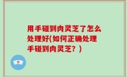 用手碰到肉灵芝了怎么处理好(如何正确处理手碰到肉灵芝？)