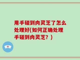 用手碰到肉灵芝了怎么处理好(如何正确处理手碰到肉灵芝？)