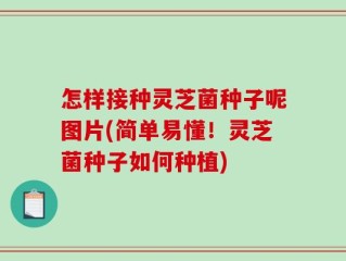 怎样接种灵芝菌种子呢图片(简单易懂！灵芝菌种子如何种植)