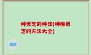 种灵芝的种法(种植灵芝的方法大全)