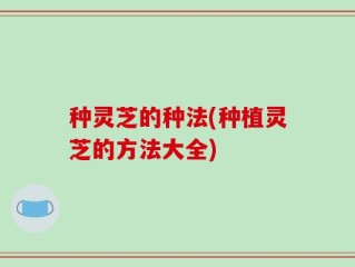 种灵芝的种法(种植灵芝的方法大全)