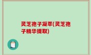 灵芝孢子凝萃(灵芝孢子精华提取)