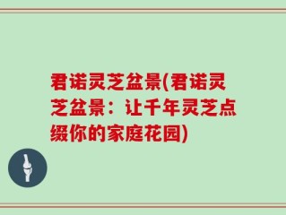 君诺灵芝盆景(君诺灵芝盆景：让千年灵芝点缀你的家庭花园)