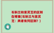 石斛兰和紫灵芝的区别在哪里(石斛兰与紫灵芝：两者有何区别？)