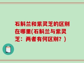 石斛兰和紫灵芝的区别在哪里(石斛兰与紫灵芝：两者有何区别？)