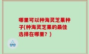 哪里可以种海灵芝果种子(种海灵芝果的最佳选择在哪里？)