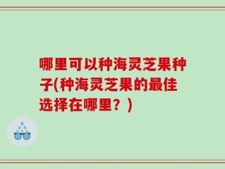 哪里可以种海灵芝果种子(种海灵芝果的最佳选择在哪里？)