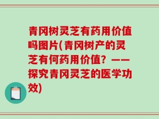 青冈树灵芝有药用价值吗图片(青冈树产的灵芝有何药用价值？——探究青冈灵芝的医学功效)
