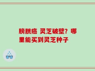膀胱癌 灵芝破壁？哪里能买到灵芝种子