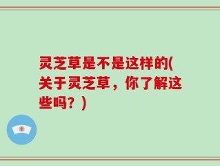 灵芝草是不是这样的(关于灵芝草，你了解这些吗？)
