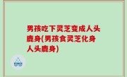 男孩吃下灵芝变成人头鹿身(男孩食灵芝化身人头鹿身)