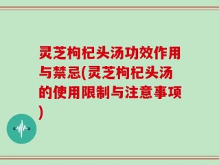 灵芝枸杞头汤功效作用与禁忌(灵芝枸杞头汤的使用限制与注意事项)