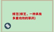 樟芝(樟芝，一种具有多重功效的草药)