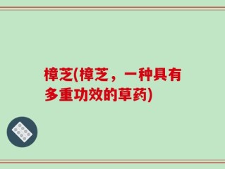 樟芝(樟芝，一种具有多重功效的草药)