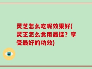 灵芝怎么吃呢效果好(灵芝怎么食用最佳？享受最好的功效)