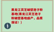 黑龙江灵芝破壁孢子粉基地(黑龙江灵芝孢子粉破壁基地盛产，品质保证！)