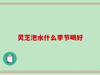 灵芝泡水什么季节喝好