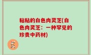 粘粘的白色肉灵芝(白色肉灵芝：一种罕见的珍贵中药材)