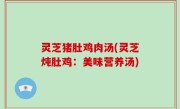灵芝猪肚鸡肉汤(灵芝炖肚鸡：美味营养汤)