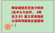 哪家破壁灵芝孢子粉的(选手火力全开，《明日之子》第三季落地蛇口深圳湾超级总部基地！)