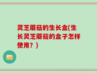 灵芝蘑菇的生长盒(生长灵芝蘑菇的盒子怎样使用？)
