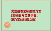 灵芝供春紫砂壶范乃军(紫砂壶与灵芝供春：范乃军的珍藏之选)