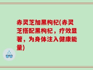赤灵芝加黑枸杞(赤灵芝搭配黑枸杞，疗效显著，为身体注入健康能量)