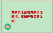 黄陂灵芝基地黄陂灵芝基地：探秘神奇灵芝之旅)