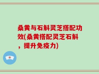桑黄与石斛灵芝搭配功效(桑黄搭配灵芝石斛，提升免疫力)