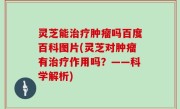 灵芝能治疗肿瘤吗百度百科图片(灵芝对肿瘤有治疗作用吗？——科学解析)