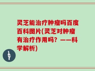 灵芝能治疗肿瘤吗百度百科图片(灵芝对肿瘤有治疗作用吗？——科学解析)