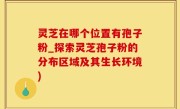 灵芝在哪个位置有孢子粉_探索灵芝孢子粉的分布区域及其生长环境)