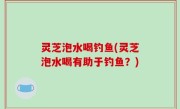 灵芝泡水喝钓鱼(灵芝泡水喝有助于钓鱼？)