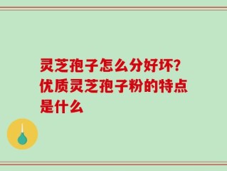 灵芝孢子怎么分好坏？优质灵芝孢子粉的特点是什么