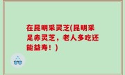 在昆明采灵芝(昆明采足赤灵芝，老人多吃还能益寿！)