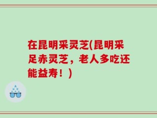 在昆明采灵芝(昆明采足赤灵芝，老人多吃还能益寿！)