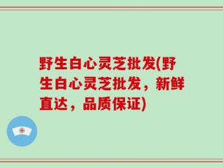 野生白心灵芝批发(野生白心灵芝批发，新鲜直达，品质保证)