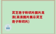 灵芝孢子粉切片图片高清(高清图片展示灵芝孢子粉切片)