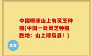中国哪座山上有灵芝种植(中国一处灵芝种植胜地：山上琼岛县！)