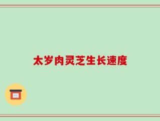 太岁肉灵芝生长速度