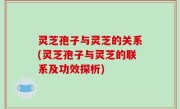 灵芝孢子与灵芝的关系(灵芝孢子与灵芝的联系及功效探析)