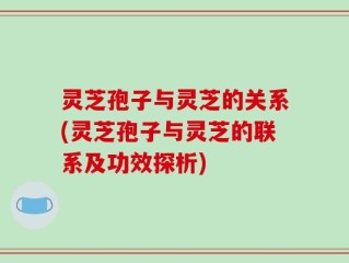 灵芝孢子与灵芝的关系(灵芝孢子与灵芝的联系及功效探析)