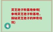 灵芝孢子粉基地参观(参观灵芝孢子粉基地，探秘灵芝孢子的神奇功效)