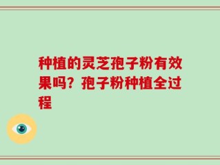 种植的灵芝孢子粉有效果吗？孢子粉种植全过程